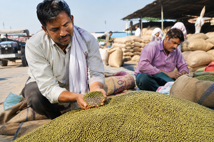 Green Gram Mandi Price: Daily Rates, Market Updates and Selling Guide