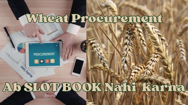 Rajasthan Wheat Procurement: No Slot Booking Required for Farmers Anymore