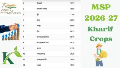 Cabinet Approves MSP Hike for Kharif Crops 2026-27