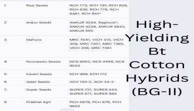 High-Yielding Bt Cotton Hybrids (BG-II) Recommended for Kharif 2026