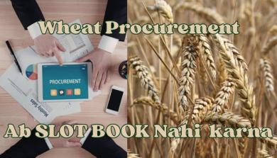 Rajasthan Wheat Procurement: No Slot Booking Required for Farmers Anymore