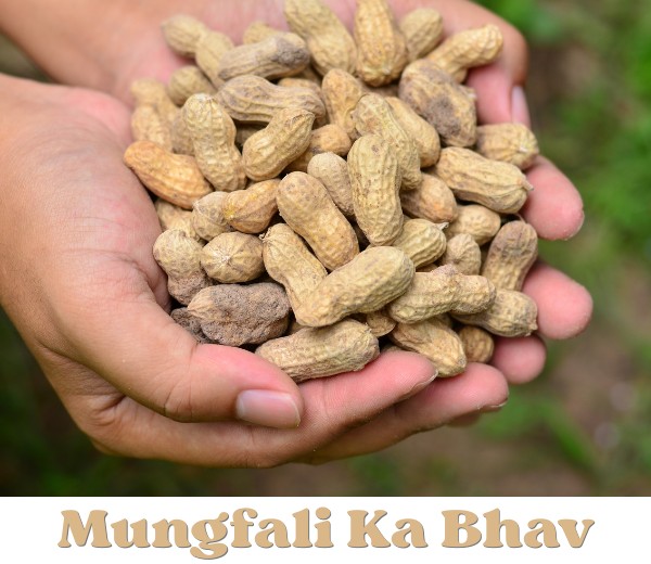 Mungfali