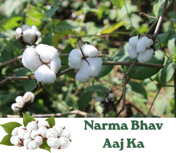 Narma
