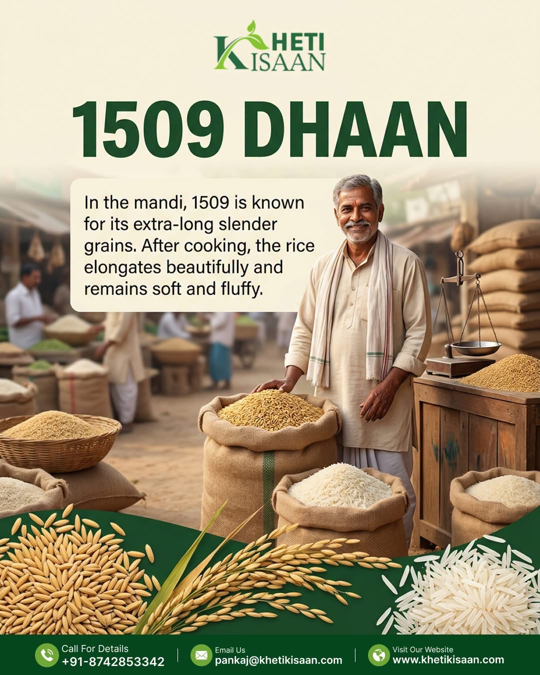1509 Dhaan Ka Bhav