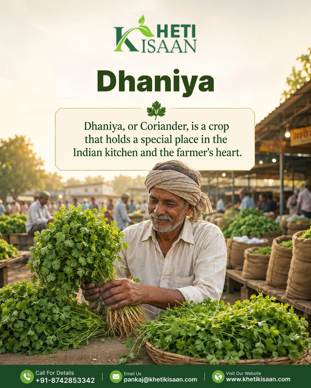 Dhaniya Ka Bhav