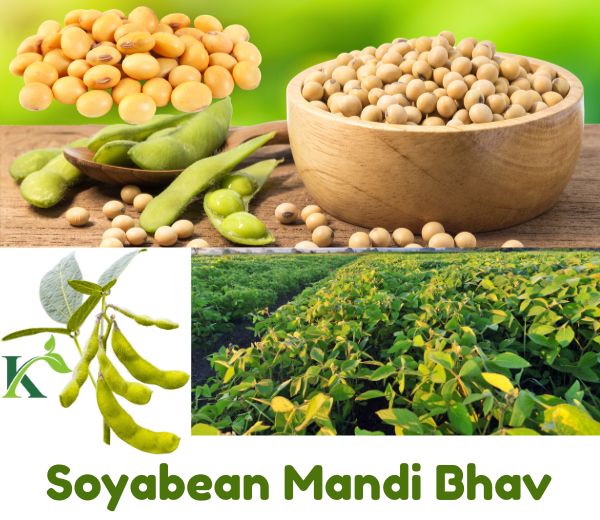 soyabean mandi bhav
