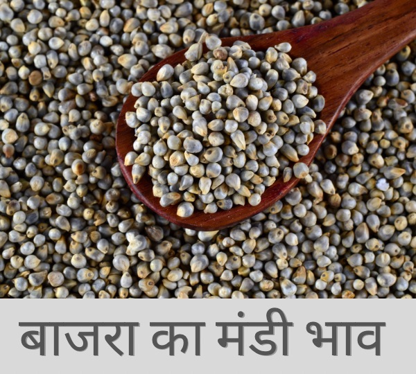 Baajra Mandi Bhav