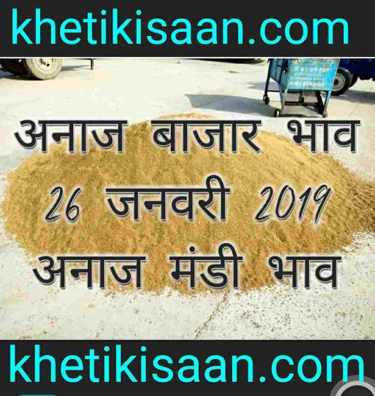 anaj-bazar-bhav-26-01-2019 , mandi bhav