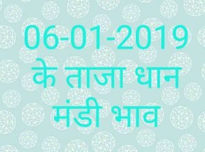 anaj-mandi-bhav-06-01-2019