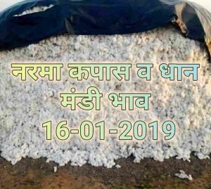 mandi-bhav-16-01-2019 , mandi bhav today