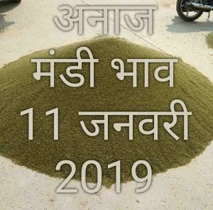 mandi-bhav-today-11-01-2019