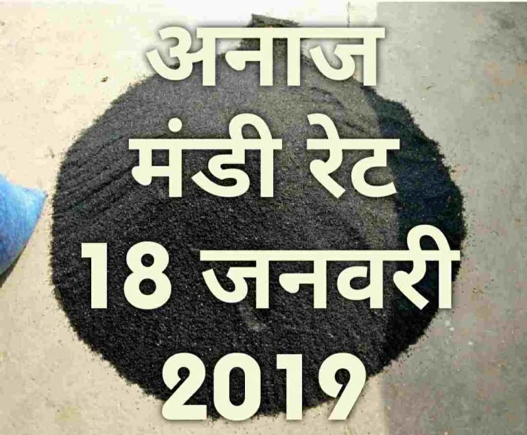 mandi-rates-18-january-2019 , mandi bhav today