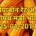 neemuch-mandi-bhav-25-01-2019 , soyabean-rates-today