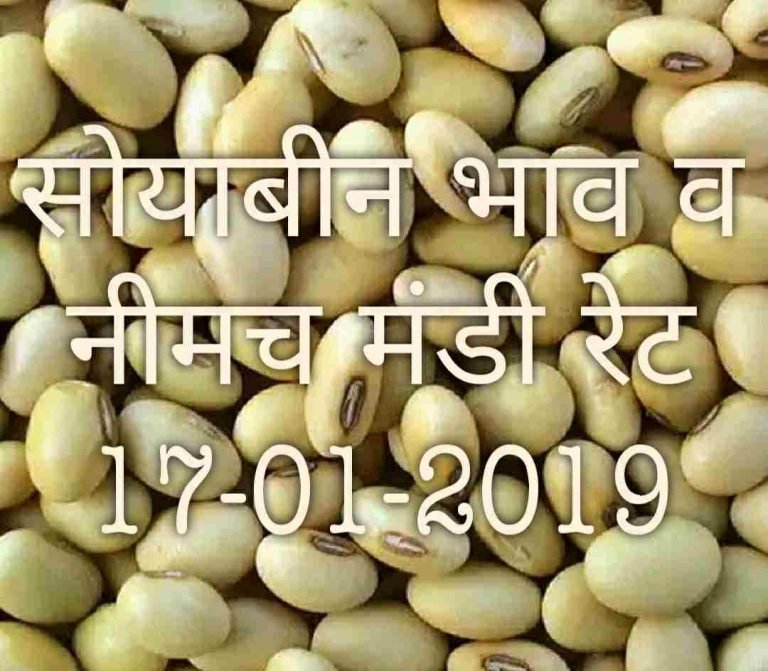 soyabean-neemach-mandi-bhav-17-01-2019
