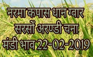 Mandi-bhav-22-02-2019 , mandi bhav today
