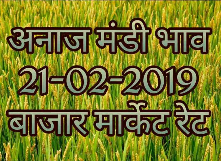 MAndi Rates 21-02-2019 , Mandi Bhav Today