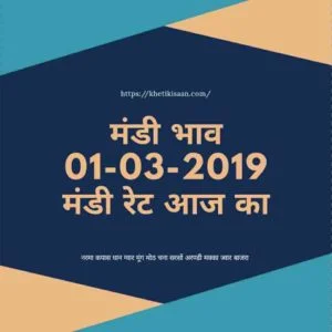 Mandi Bhav 01-03-2019 , Mandi rates 01-march-2019