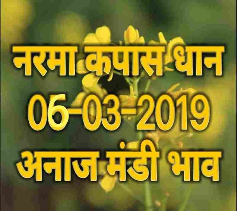 mandi bhav 06-03-2019 , mandi rates 06-march-2019