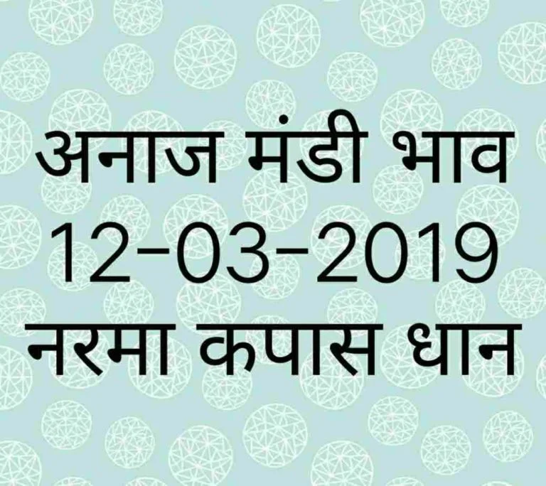 Mandi Bhav 12-03-2019