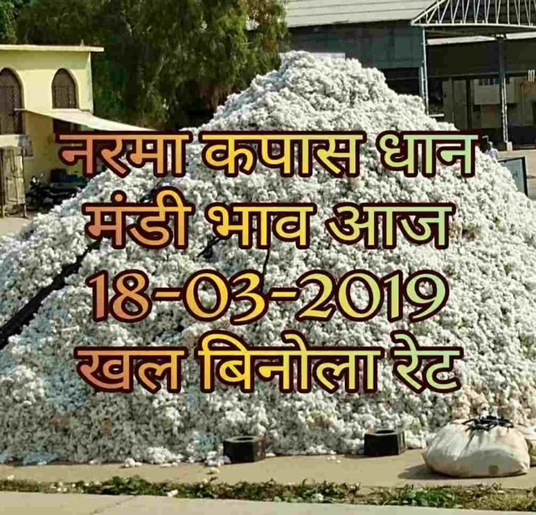 Mandi Bhav 18-03-2019 , Mandi Rates , Khal Bhav