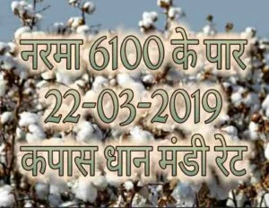 mandi bhav 22-03-2019 , mandi rates