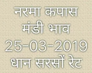Mandi Bhav 25-03-2019, Mandi Rates
