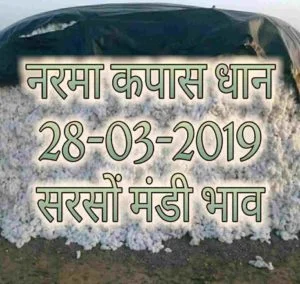 mandi bhav 28-03-2019 , sarso bhav 2019
