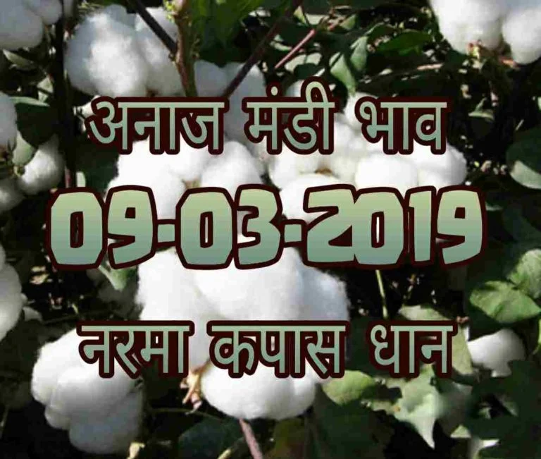 Mandi Rates 09-03-2019 , mandi bhav 09-march-2019