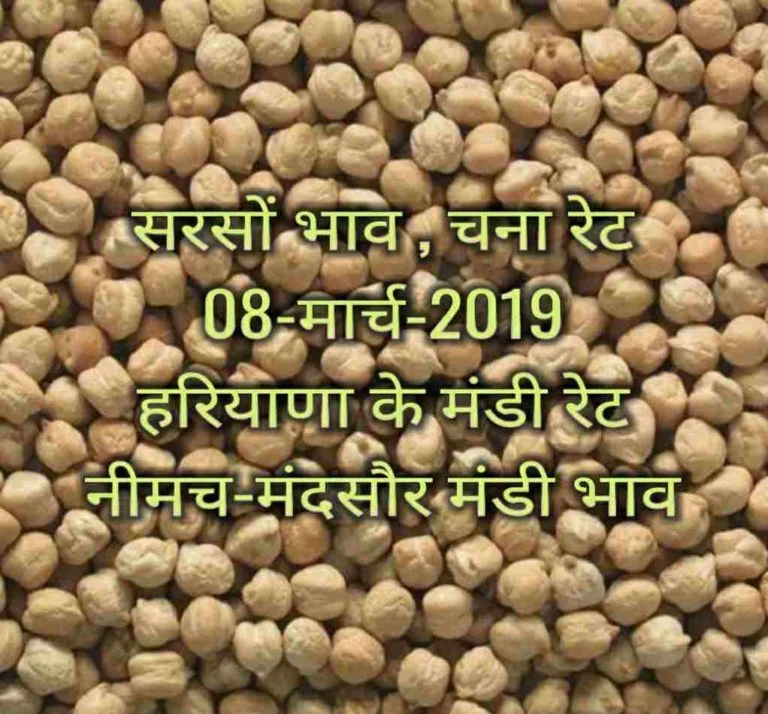 sarso-ka-bhav-08-march-2019 , lahsun bhav , saoyabean rates