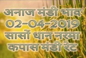 mandi bhav 02-04-2019 , sarso mandi rates , dhaan bhav aaj ka
