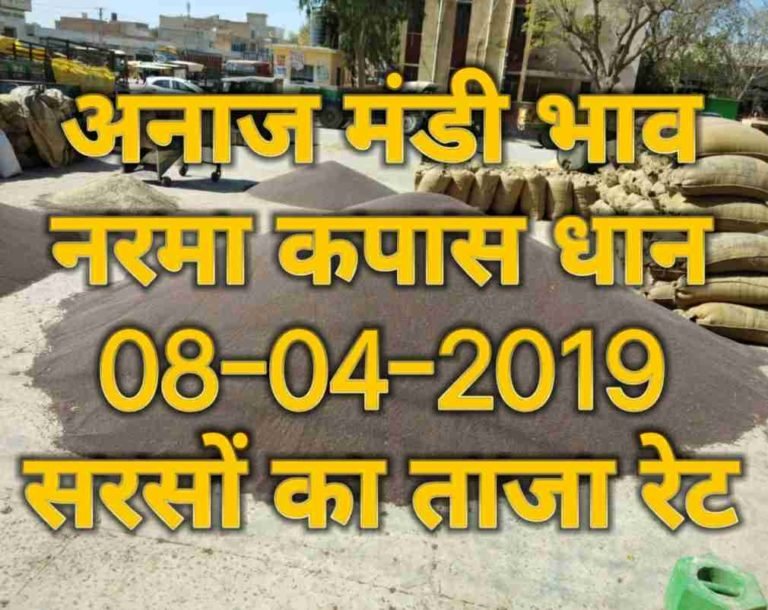 mandi bhav 08-04-2019 , sarso bhav today