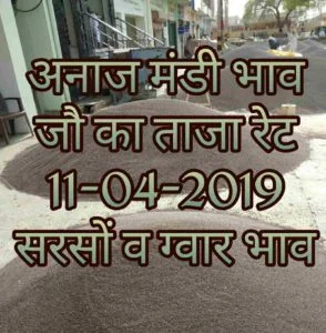 Mandi Bhav 11-04-2019 , Jo ka bhav , Gawar mandi rates , sarso bhav today