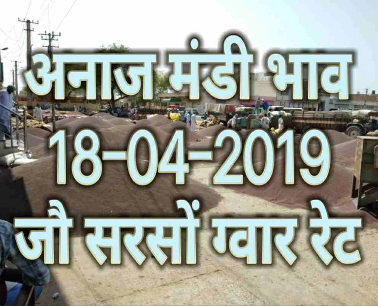 Mandi Bhav 18-04-2019 , mandi rates 18 April , Jo bhav , Sarso bhav today
