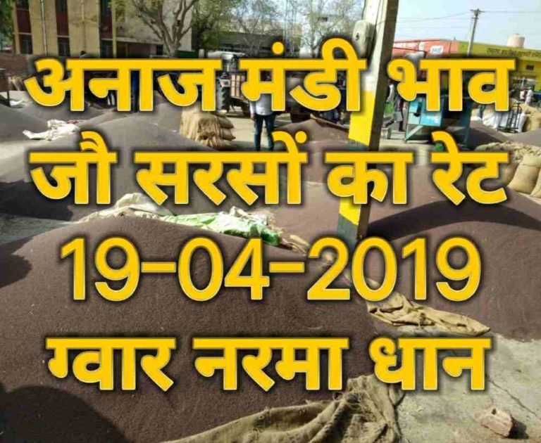 mandi bhav 19-04-2019 , jo bhav , gawar mandi bhav