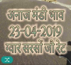 mandi bhav 23-04-2019 , gawar rates today