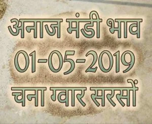 Mandi Bhav 01-05-2019 , May 2019 Sarso Bhav