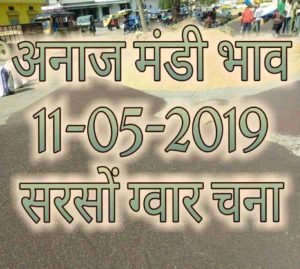 Mandi Bhav 11-05-2019 , sarso chana tezi