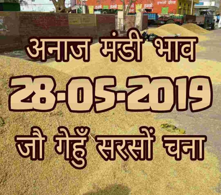 mandi bhav 28-05-2019 , mandi rates today