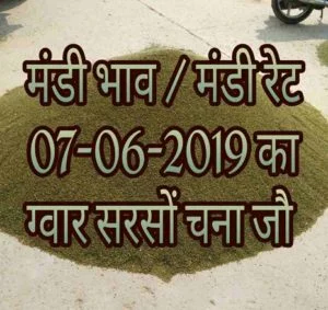 Mandi Bhav 07-06-2019