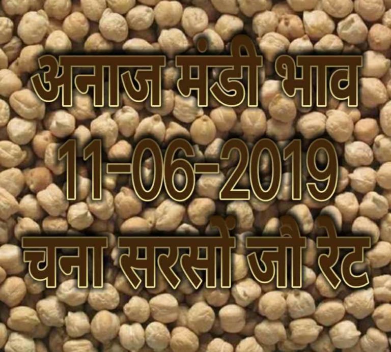 mandi bhav 11-06-2019