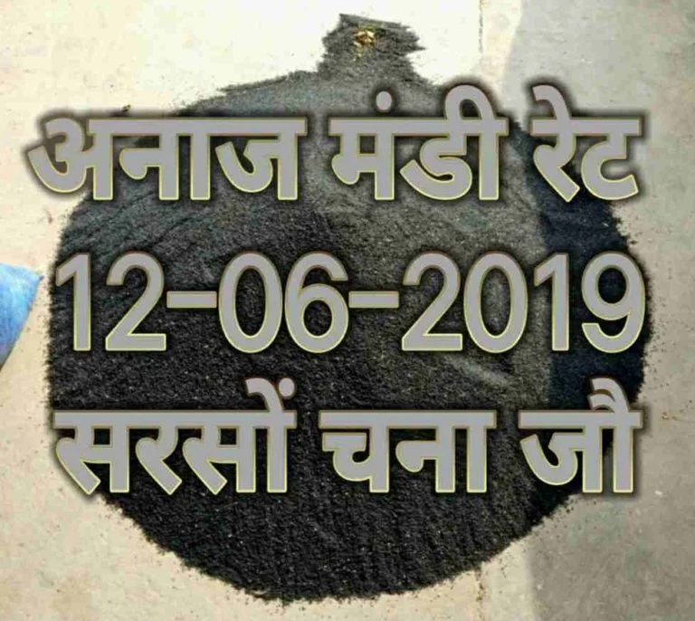 Mandi Bhav 12-06-2019 , Anaj Mandi Rates