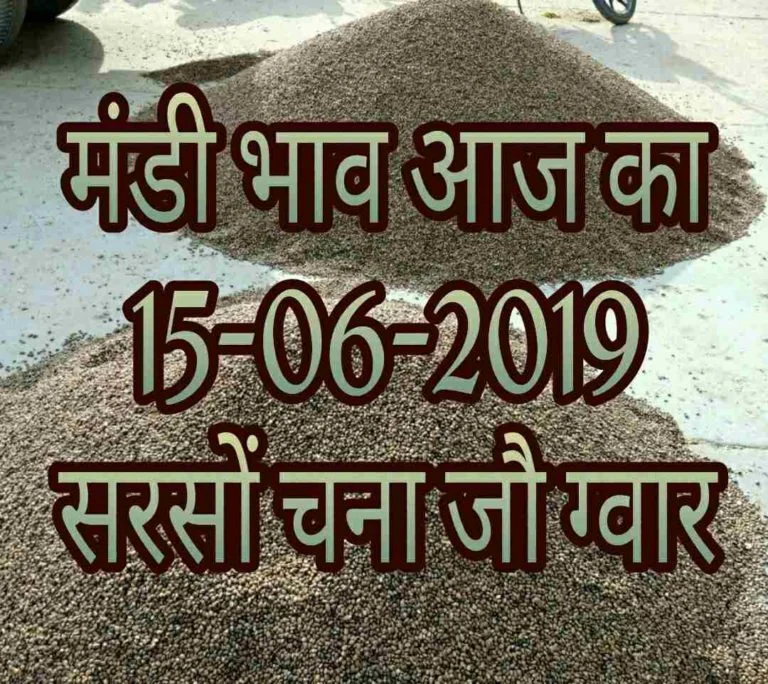 mandi bhav 15-06-2019