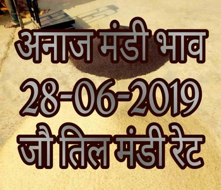 Mandi Bhav 28-06-2019