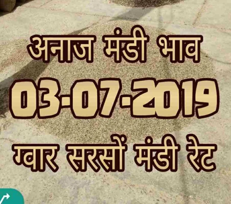 mandi bhav 03-07-2019
