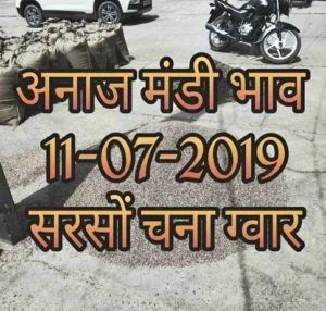 Mandi Bhav 11-07-2019