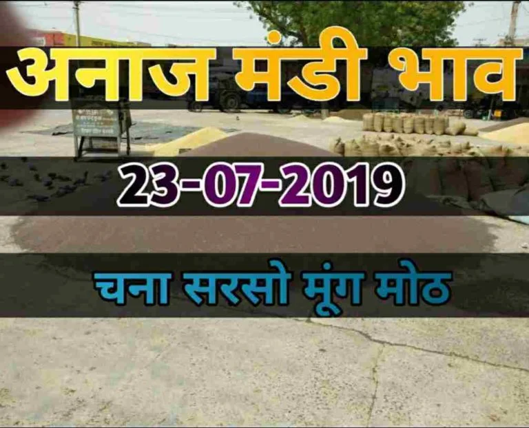 Mandi Bhav 23-07-2019