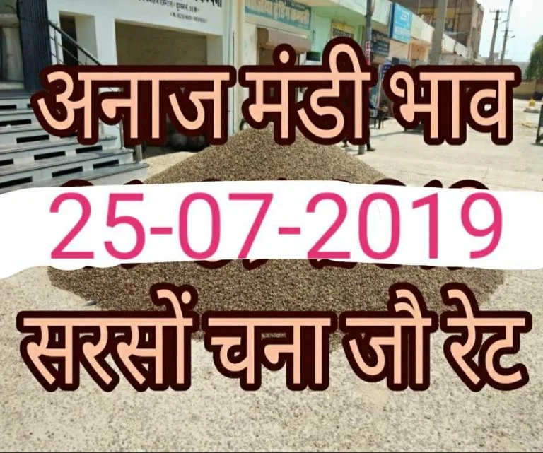 Mandi Bhav 25-07-2019