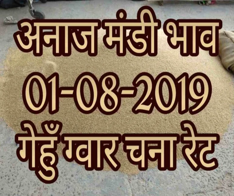 Mandi Bhav 01-08-2019 Mandi Rates