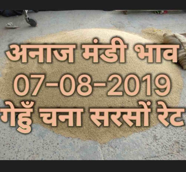 Mandi Bhav 07-08-2019 Today Bazar