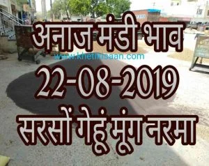 Mandi Bhav 22-08-2019 Naya Narma Rate